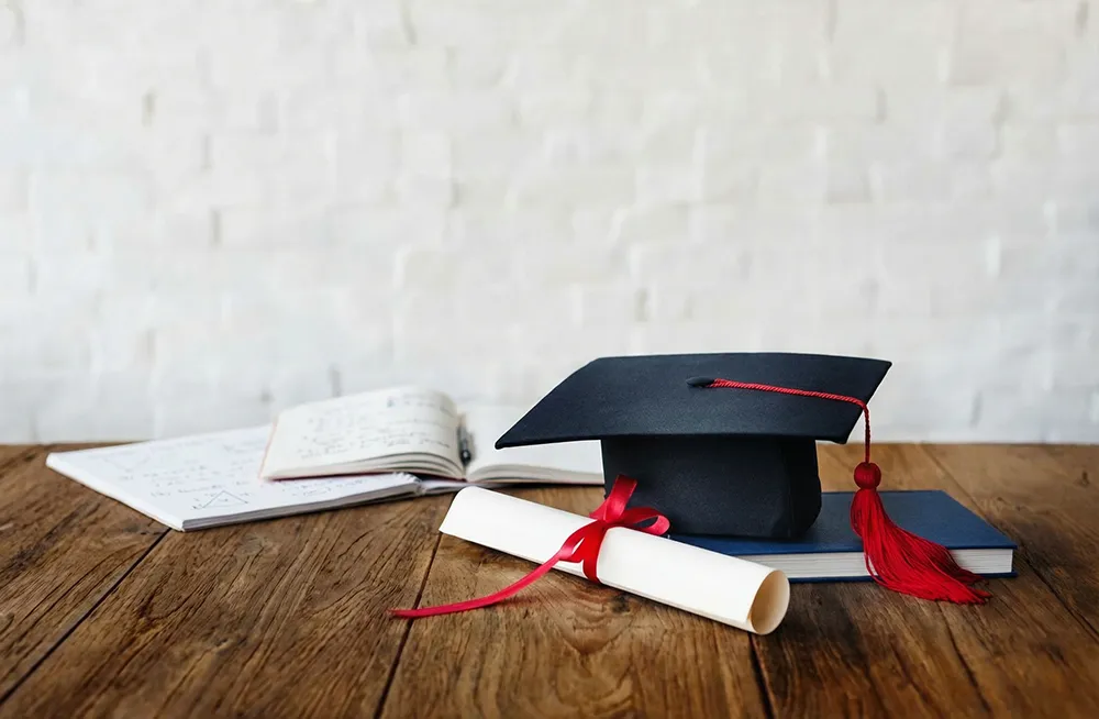 Réussite de son Bac STI2D